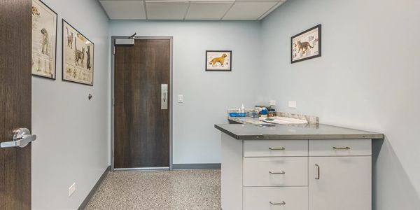A clean, welcoming exam room at Countryside Animal Hospital